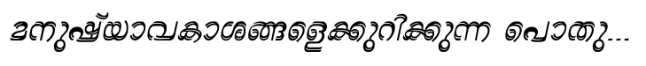 Shree Malayalam 1828